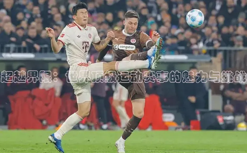 杏悦2登录平台